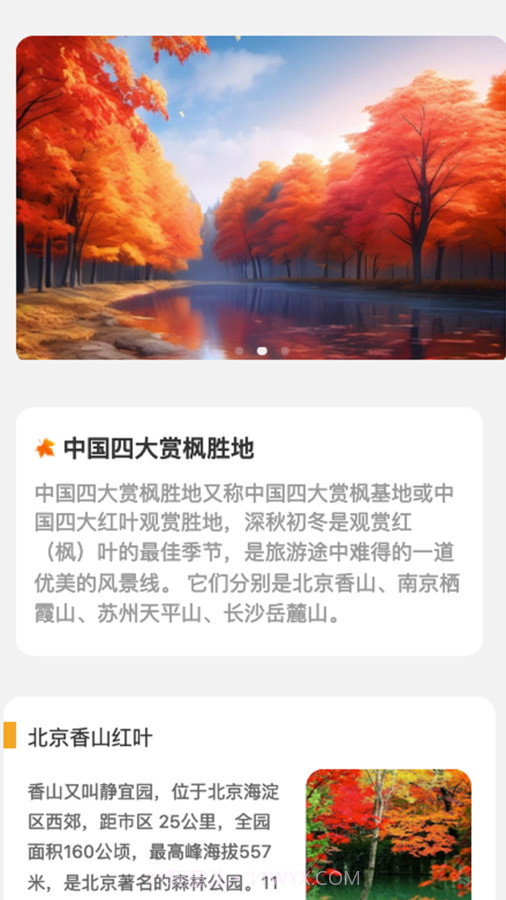 枫叶悦看截图1 枫叶悦看截图1