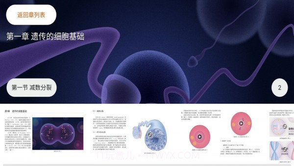 遗传与进化截图2