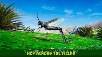 印度蝗虫模拟器汉化版截图3 印度蝗虫模拟器汉化版截图3