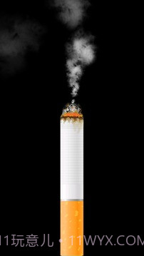 卷烟模拟器截图5