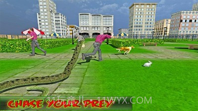 蟒蛇大作战截图1