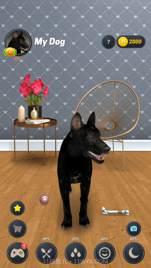 我的狗截图3