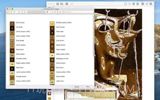 Paint By Number Creator Lite数字绘画创作精简版截图3