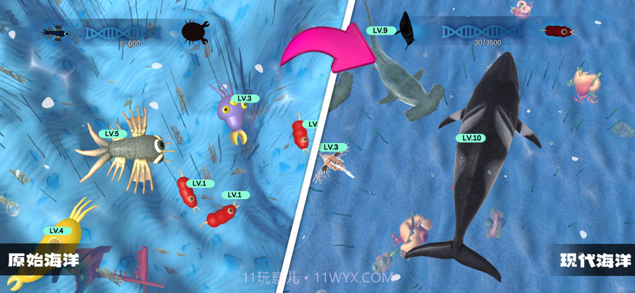物种进化模拟器截图5 物种进化模拟器截图5