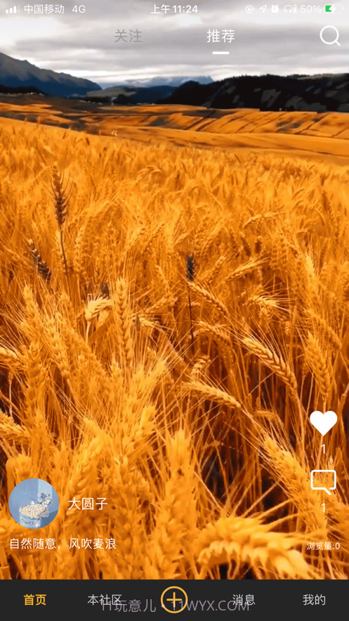 金果匠社播截图1