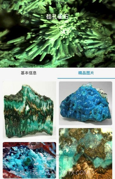 矿石之家免费版截图1 矿石之家免费版截图1