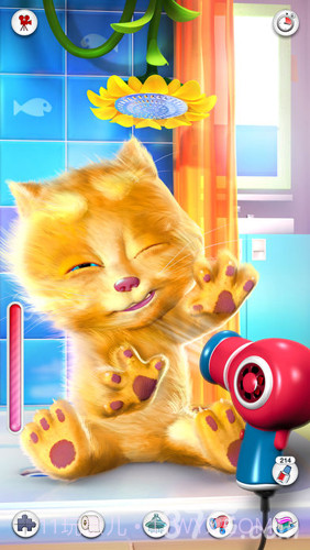 我的金杰猫截图4