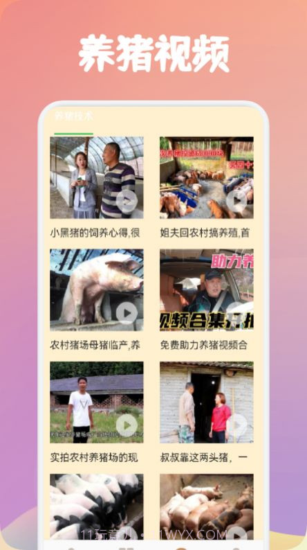 养猪世界截图1 养猪世界截图1