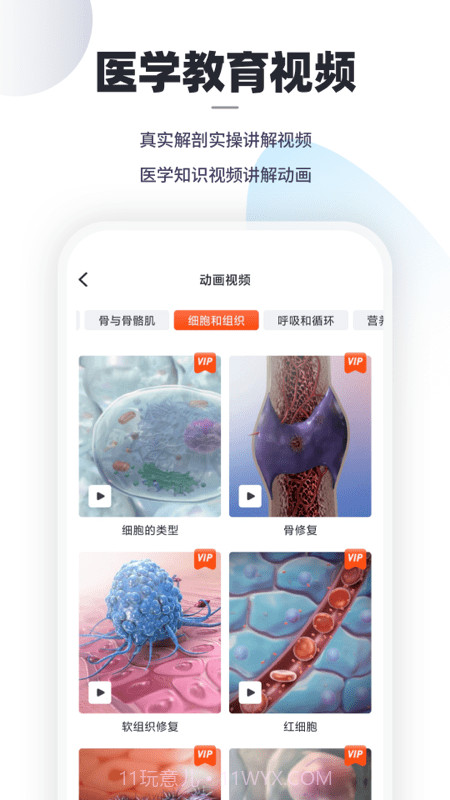 口袋解剖截图2