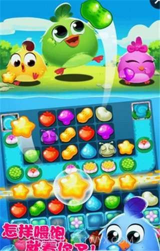 小鸡爆破消消乐3截图1