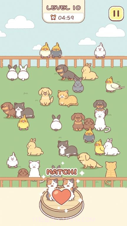 动物园匹配官方版截图3