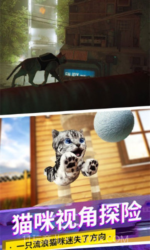 猫咪城市模拟器截图2