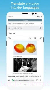 kiwi浏览器截图2 kiwi浏览器截图2