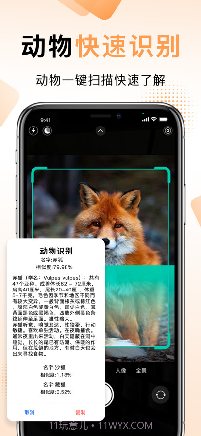 扫描王中王截图9