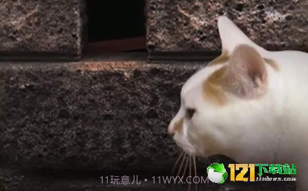 猫头怪谈截图2 猫头怪谈截图2