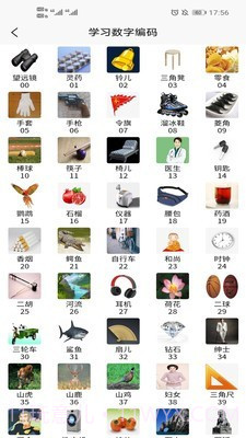 实用记忆训练截图3 实用记忆训练截图3