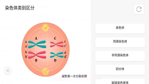 遗传与进化截图5