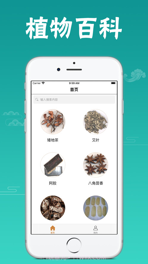 植物百科截图1 植物百科截图1