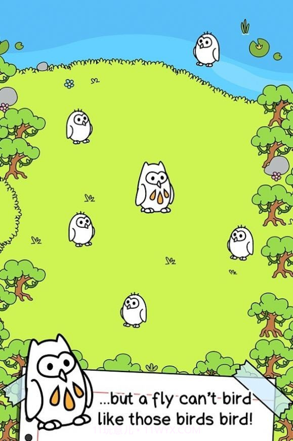 鸟类进化突变猎鹰截图1