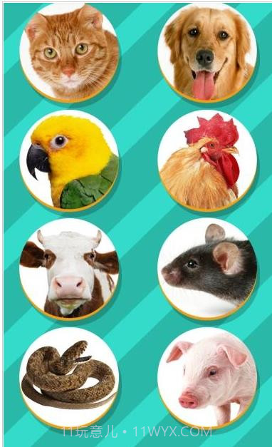 小动物语言翻译器截图1