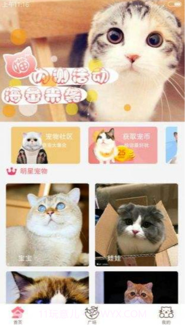 猫咪社区官网app安卓通道下载截图3