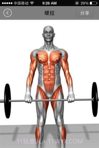 健美宝典截图3 健美宝典截图3