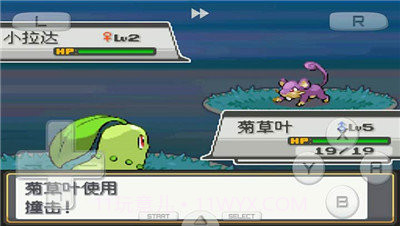 口袋妖怪心金截图3