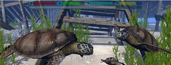 终极海豚模拟器截图1