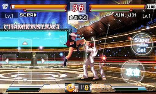 终极格斗 The Fighters Blood截图1 终极格斗 The Fighters Blood截图1