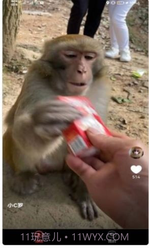 宠物趣看截图2 宠物趣看截图2