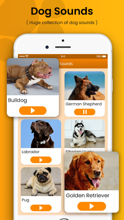 狗训练答题器和噪音截图2