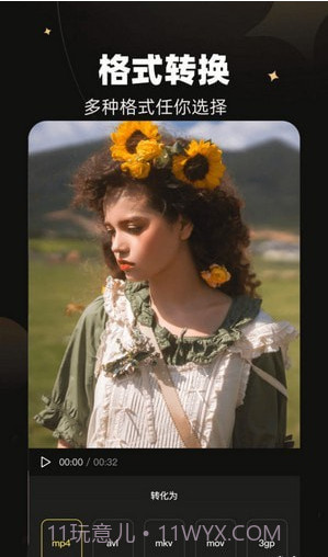 天马视频大师截图3 天马视频大师截图3