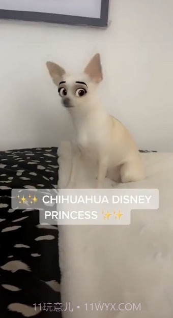 迪士尼滤镜截图3 迪士尼滤镜截图3