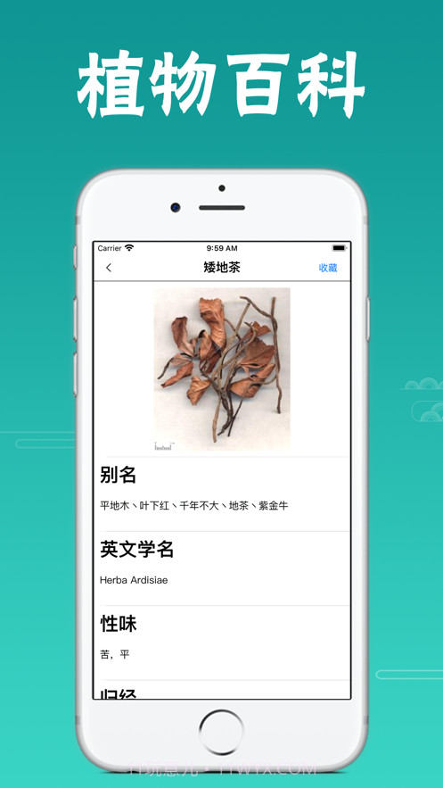 植物百科截图2 植物百科截图2