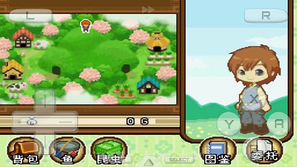 牧场物语双子村截图1 牧场物语双子村截图1