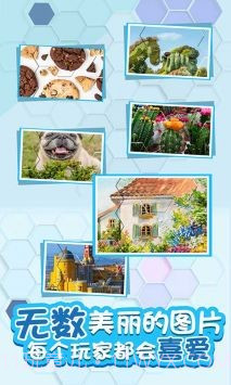 拼图来几把截图2 拼图来几把截图2