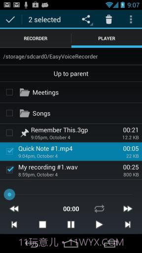 简易录音机截图5