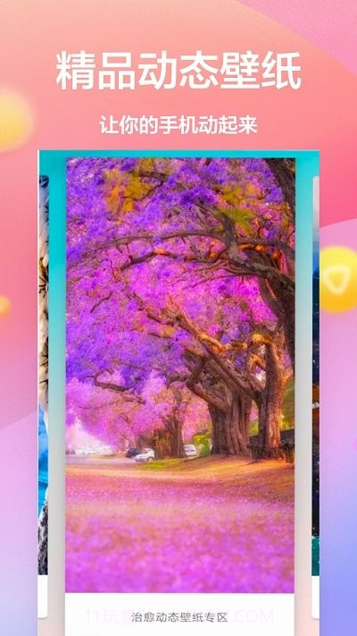 动态壁纸4k免费截图2