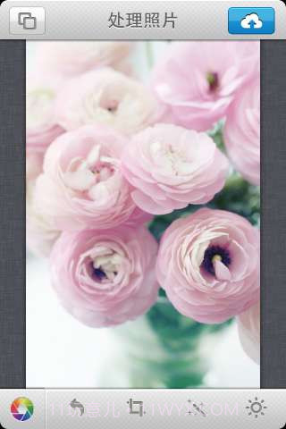 享拍 LOMO截图1 享拍 LOMO截图1