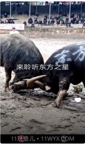 宠物趣看截图1 宠物趣看截图1