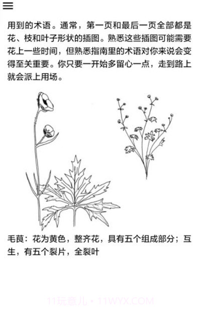 野外植物识别手册截图4