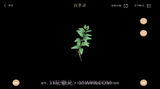 百草录截图3 百草录截图3