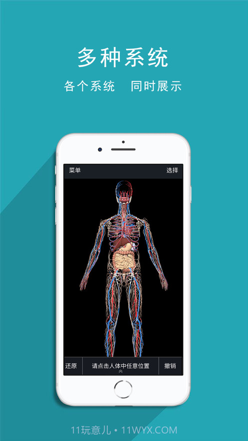 人体护理截图2 人体护理截图2