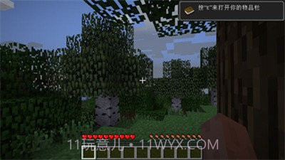 我的世界1.16国际版截图3