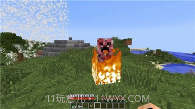 我的世界1.16国际版截图1