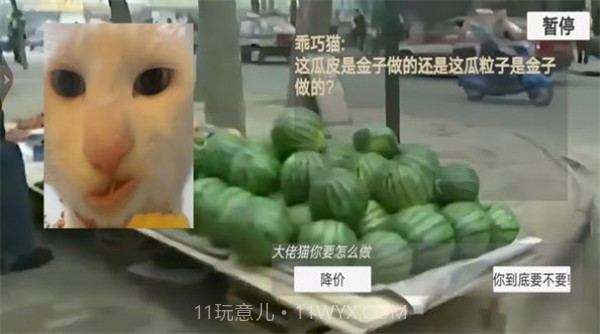 猫猫惊魂夜截图2 猫猫惊魂夜截图2