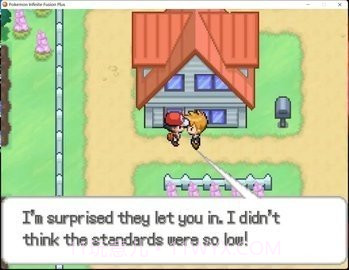 口袋妖怪无限融合5.0汉化版截图3