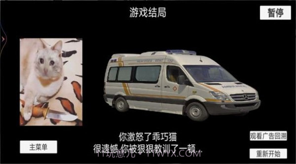 猫猫惊魂夜截图3 猫猫惊魂夜截图3