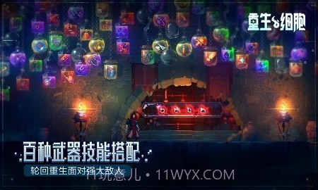 重生细胞无邪魔极天道截图3 重生细胞无邪魔极天道截图3