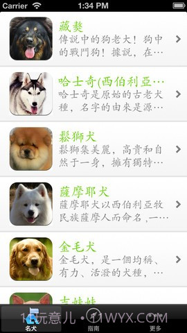 世界名犬大全截图5 世界名犬大全截图5